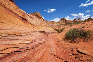 Rock Formations in Coyote Buttes, Utah