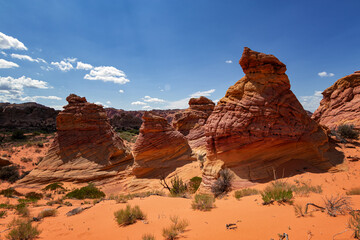 Fototapeta premium Rock Formations in Coyote Buttes, Utah