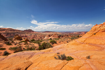 Fototapeta premium Rock Formations in Coyote Buttes, Utah