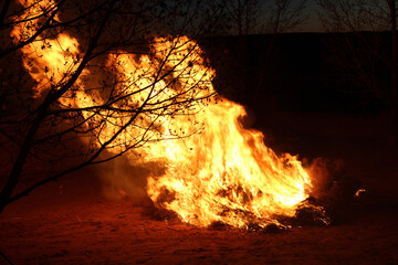 fire in the backyard at night with tree branches