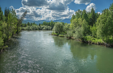 Fototapeta na wymiar Wild mountain river on a summer day