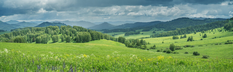Fototapeta na wymiar Panoramic view of green meadows and hills on a summer day, cloudy sky