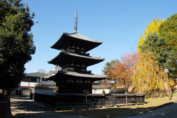 Naklejka premium 興福寺 三重塔 奈良市