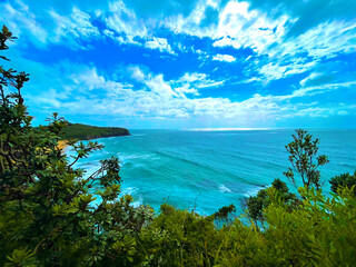 Overlooking Turimetta Beach Northern Beaches Sydney Australia 