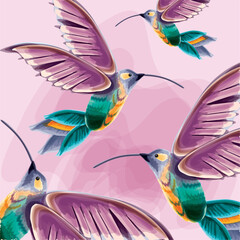 flying hummingbirds watercolor