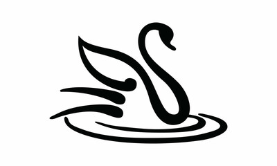 black and white Swan