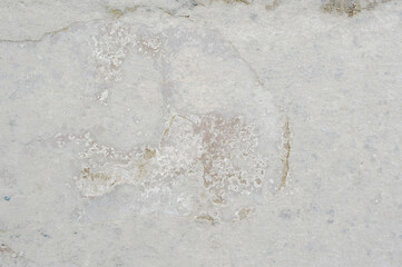 white fog imagination stimulation cement floor