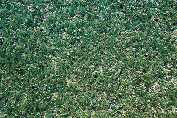 green small gravel artificial turf floor