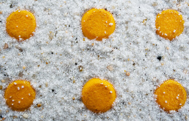 yellow dots white pattern texture floor