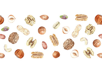 Seamless border of watercolor nuts