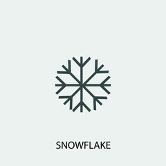 Snowflake vector icon illustration sign
