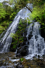 Obraz premium 福井県池田町の龍双ヶ滝、春、日本の滝100選