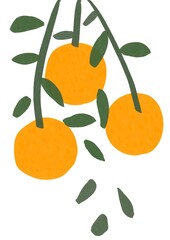 tangerines with leaves isolated. Poster with the image of fruit