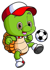 The happy turtle with the hat is playing the football