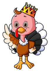The cute king of turkey bird is wearing a golden crown