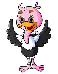 The cute ostrich is opening the wings and giving the happy face