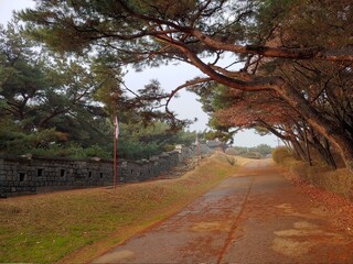 Korea's fortress road where beautiful trees grew