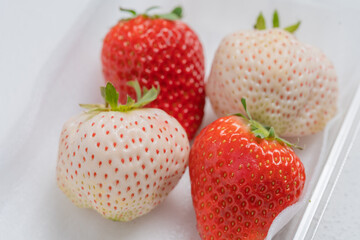 パックに入った赤色と白色のいちご
