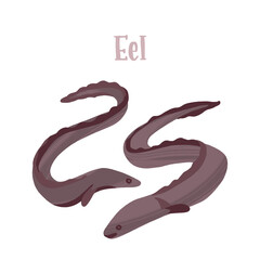 Fresh eel. Delicious sea fish. Healthy nutrition product.