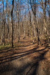 Hiking Trail