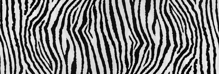 Foto op Plexiglas zebra print useful as a background © AlenKadr