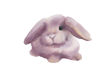 Cute rabbit. Watercolor illustration on a white background.