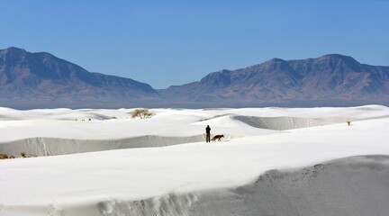 a lone hiker and his german shepherd dog  in the vast expanses of  gypsum sand dunes against  the san andres mountains in white sands national park near alamogordo, new mexico