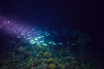 Fototapeta na wymiar ocean underwater rays of light background, under blue water sunlight
