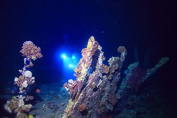 wreck diving thistelgorm, underwater adventure historical diving, treasure hunt