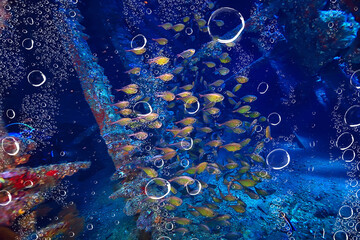 wreck diving thistelgorm, underwater adventure historical diving, treasure hunt