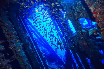 wreck diving thistelgorm, underwater adventure historical diving, treasure hunt