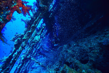 wreck diving thistelgorm, underwater adventure historical diving, treasure hunt