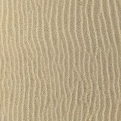 texture of sand