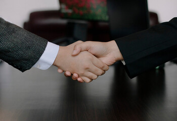 business people shaking hands on the background of the office