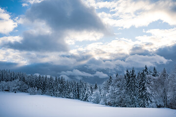 Winter forest with snow in the Bavarian Forest. Harsh winter landscape, beautiful snow-covered fir trees stand on a cold winter day.