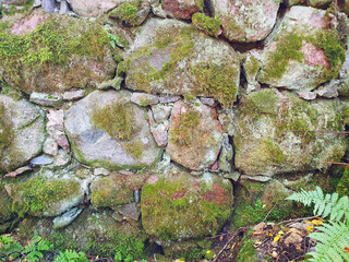part of the masonry of the stone wall remaining on the ruins of buildings of the 17th century	
