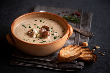 Porcini mushrooms creamy soup with grilled bread and parsley