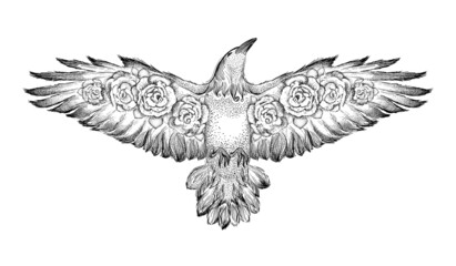 Flying bird with roses in wings, hand drawn