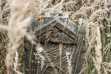 Old tombstone in a rural cemetery overgrown with tall grass