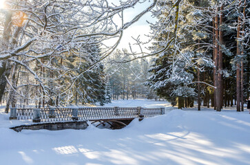 Alexander park in winter, Pushkin (Tsarskoe Selo), St. Petersburg, Russia
