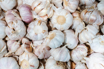 Lots of white garlic cloves. Trade in vegetables and spices in the store. flat frame