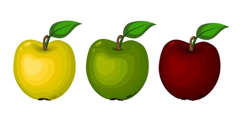 Apple. A set of three pieces of yellow, green, red apples on a white background. Close-up. Graphics. Vector.