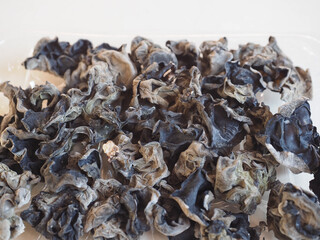 Chinese black fungus (Auricularia auricula judae) mushroom veget