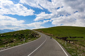 The high-mountain road to the tract of Jily-Su. Caucasus. Kabardino-Balkaria. Russia.