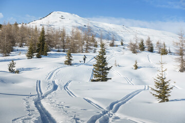 Skitourengeher in einer Winterlandschaft in Tirol