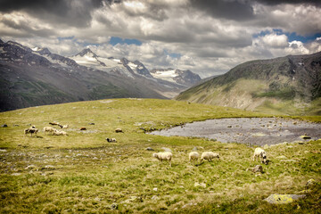 Bergsteigerdorf Vent - Österreich - Bergwandern