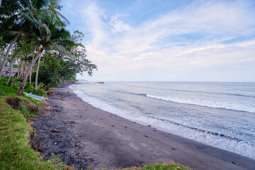 Beautiful landscape. Black sand ocean beach with palm trees.