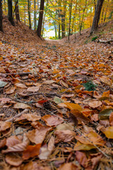 Herbst
