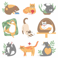 Set of cute cats isolated on white background. Cats of different breeds with toys and food.Cartoon vector illustration.