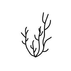 Vector simple illustration with Corals on white isolated background.Ocean,Summer underwater animal hand drawn in doodle style.Design for postcards,stickers,packages,social media,web,coloring.